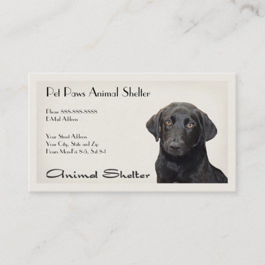 シェルター病院名刺 名刺 (正面)