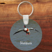 シェルダック キーホルダー (正面)