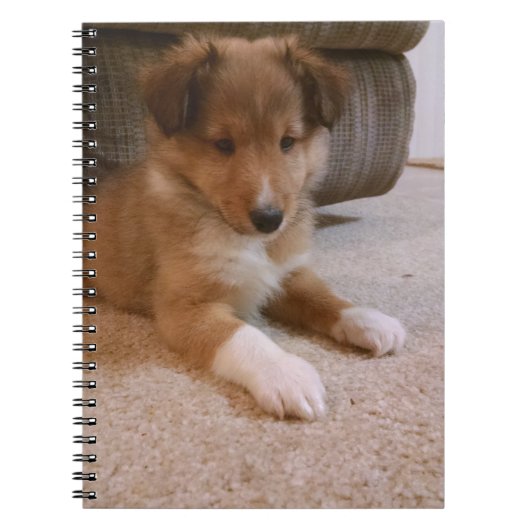 シェルティーの子犬 ノートブック (正面)