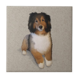 シェルティーミックス犬の肖像画 タイル