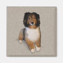 シェルティーミックス犬の肖像画
