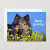 シェルティー 花の写真 誕生日 ポストカード (正面/裏面)