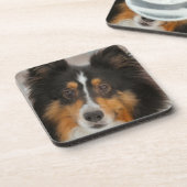 シェルティ コースター (左側)