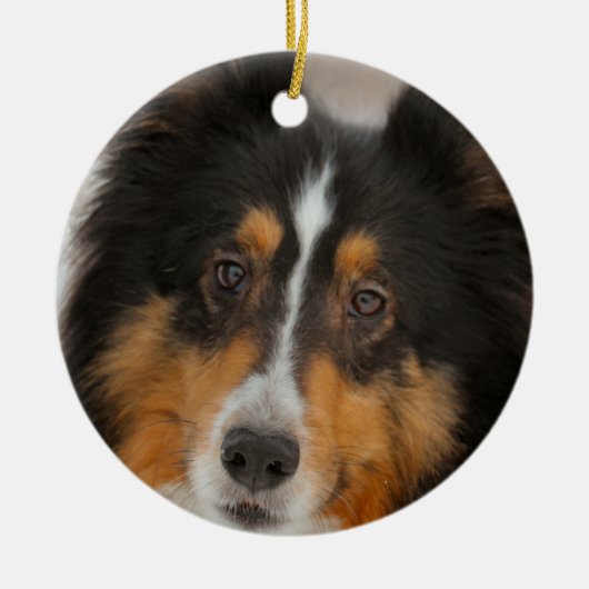 シェルティ セラミックオーナメント (正面)
