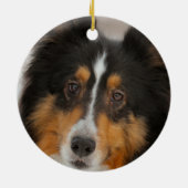 シェルティ セラミックオーナメント (裏面)