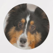 シェルティ ラベル (デザイン2)