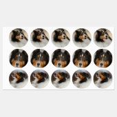 シェルティ ラベル (シート)