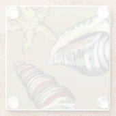 シェルトリオオンカーキ ガラスコースター (裏面)