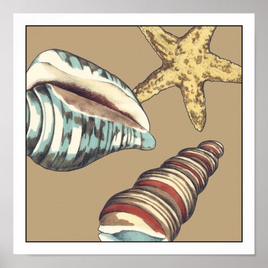 シェルトリオオンカーキ ポスター (正面)