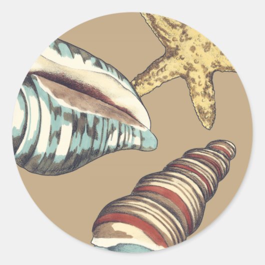 シェルトリオオンカーキ ラウンドシール (正面)