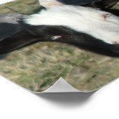 シェルトンヤートファーム ポスター (角)