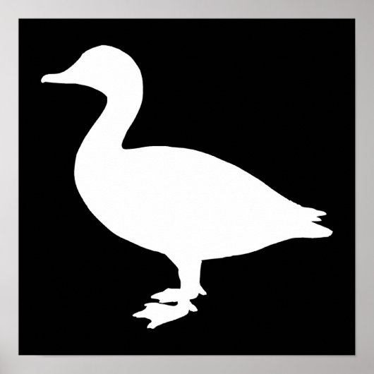 シェルドラクダック ポスター (正面)