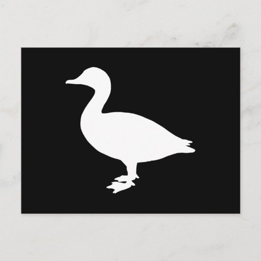 シェルドラクダック ポストカード (正面)