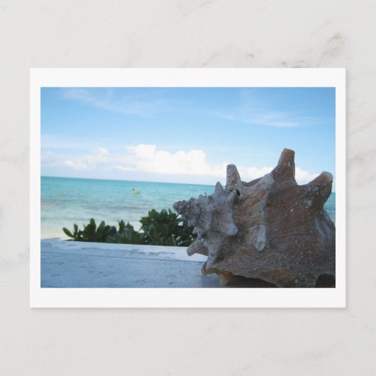 シェルバイ海 ポストカード (正面)