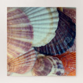 シェルパズル ジグソーパズル (横)