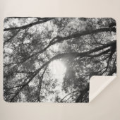 シェルパブランケットART及びデザインスタイル シェルパブランケット (正面(横))