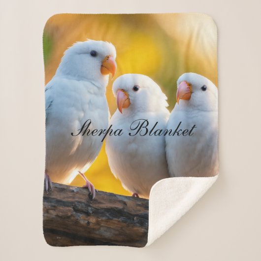 シェルパ毛布 シェルパブランケット (正面)