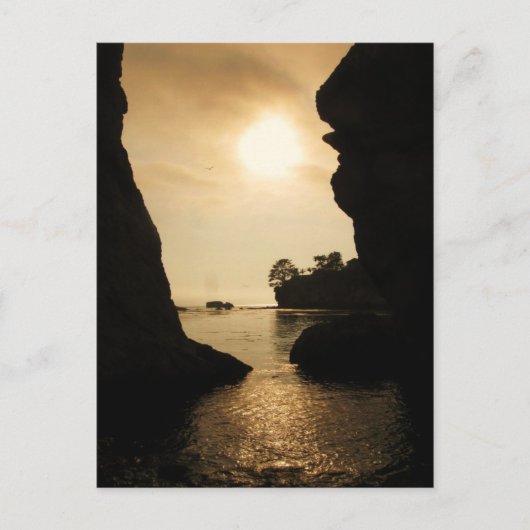 シェルビーチ ポストカード (正面)