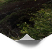 シェルビーファーム ポスター (角)