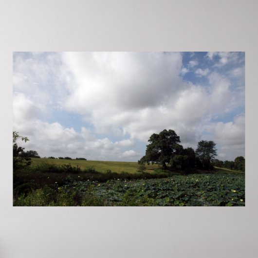 シェルビーファーム ポスター (正面)