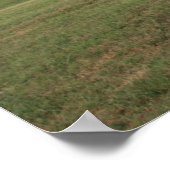 シェルビー ポスター (角)