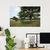 シェルビー ポスター (ホームオフィス)