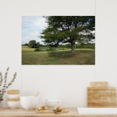 シェルビー ポスター (キッチン)