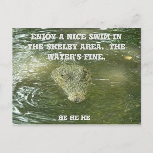 シェルビーNCポストカード ポストカード (正面)