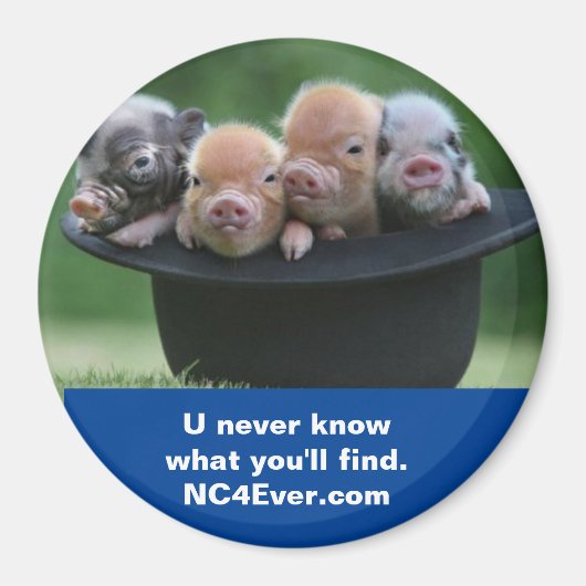 シェルビーNCマグネット マグネット (正面)