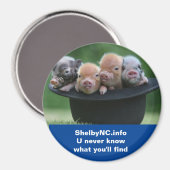 シェルビーNCマグネット マグネット (正面/裏面)