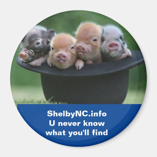 シェルビーNCマグネット マグネット (正面)