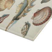 シェルファンシービーチ カッティングボード (角)