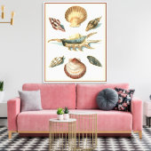 シェルファンシービーチ キャンバスプリント (インサイチュ (リビング))