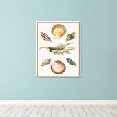 シェルファンシービーチ キャンバスプリント (インサイチュ (ウッドフロア))