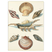 シェルファンシービーチ クリップボード (裏面)