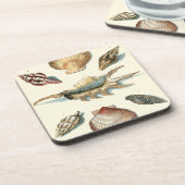 シェルファンシービーチ コースター (左側)