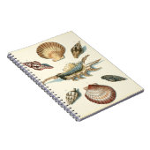 シェルファンシービーチ ノートブック (右側)