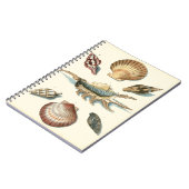 シェルファンシービーチ ノートブック (左側)