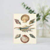 シェルファンシービーチ ポストカード (スタンド正面)