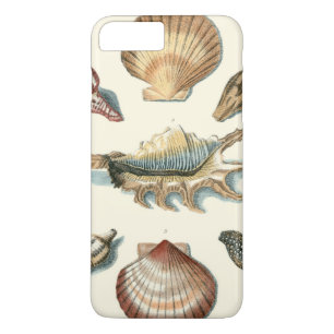 シェルファンシービーチ iPhone 8 PLUS/7 PLUSケース
