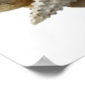 シェルポスター ポスター (角)