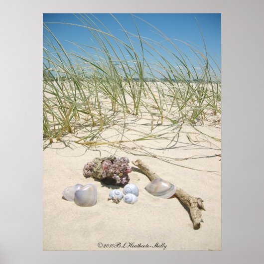 シェルポスター ポスター (正面)