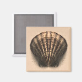 シェルマグネット マグネット (正面/裏面)