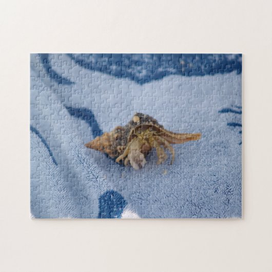 シェルライフ写真に登場する野生の仙人カニ海 ジグソーパズル (横)