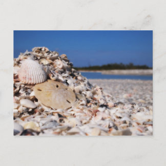 シェルリング ポストカード