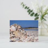 シェルリング ポストカード (スタンド正面)