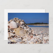 シェルリング ポストカード (正面/裏面)