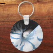 シェル勉強ブルー キーホルダー (正面)