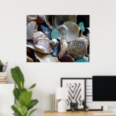 シェル収集プリント ポスター (ホームオフィス)