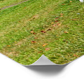 シェル彫刻ポスター ポスター (角)